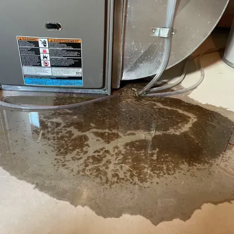 Appliance Leak Cleanup in Arapahoe County, CO